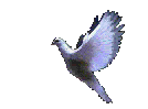 May God's Peace Comfort You In Your Time Of Sorrow